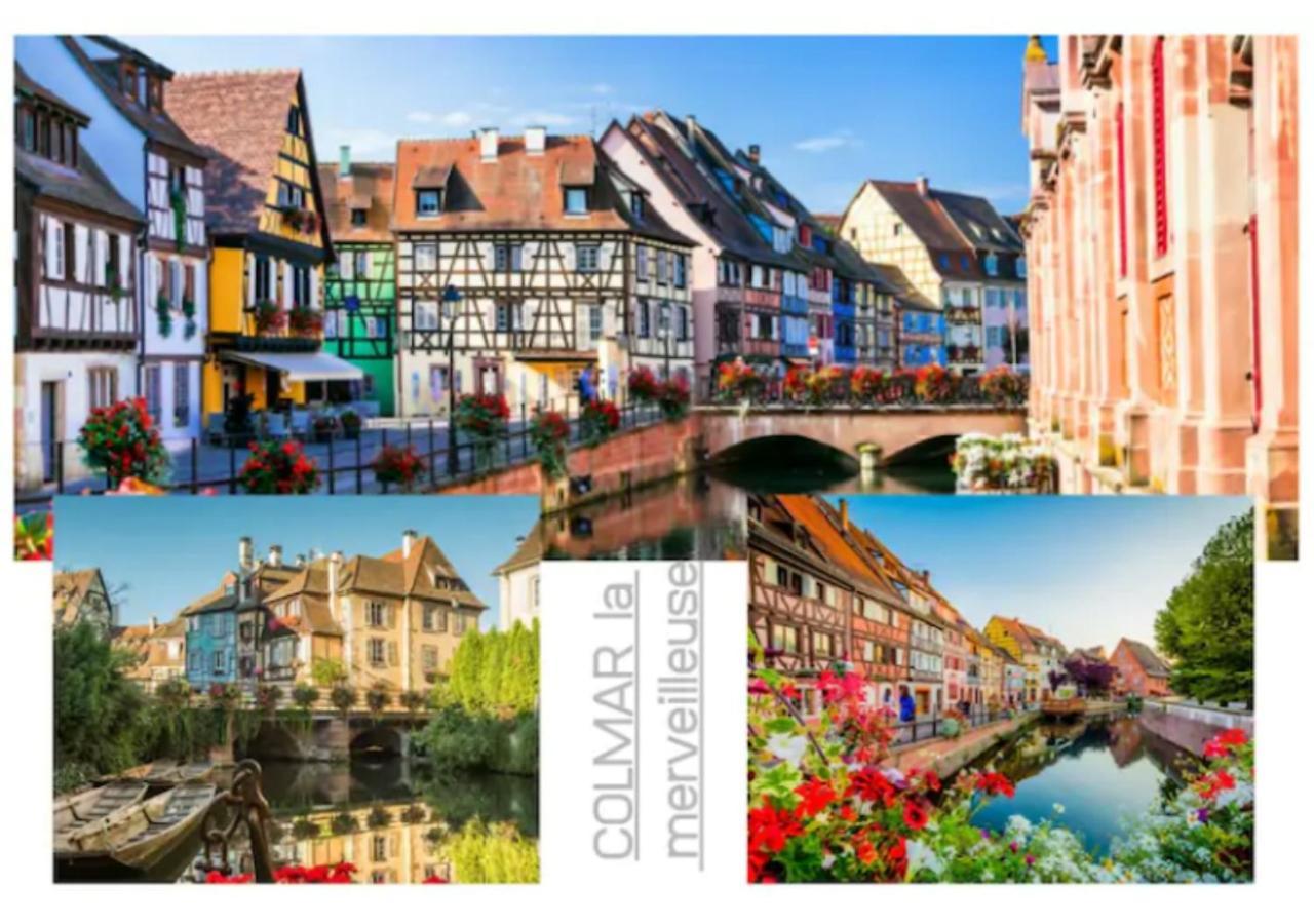 Colmar Appt familial à 3 min du centre - parking gratuit - Une chambre et 5 pers Esterno foto